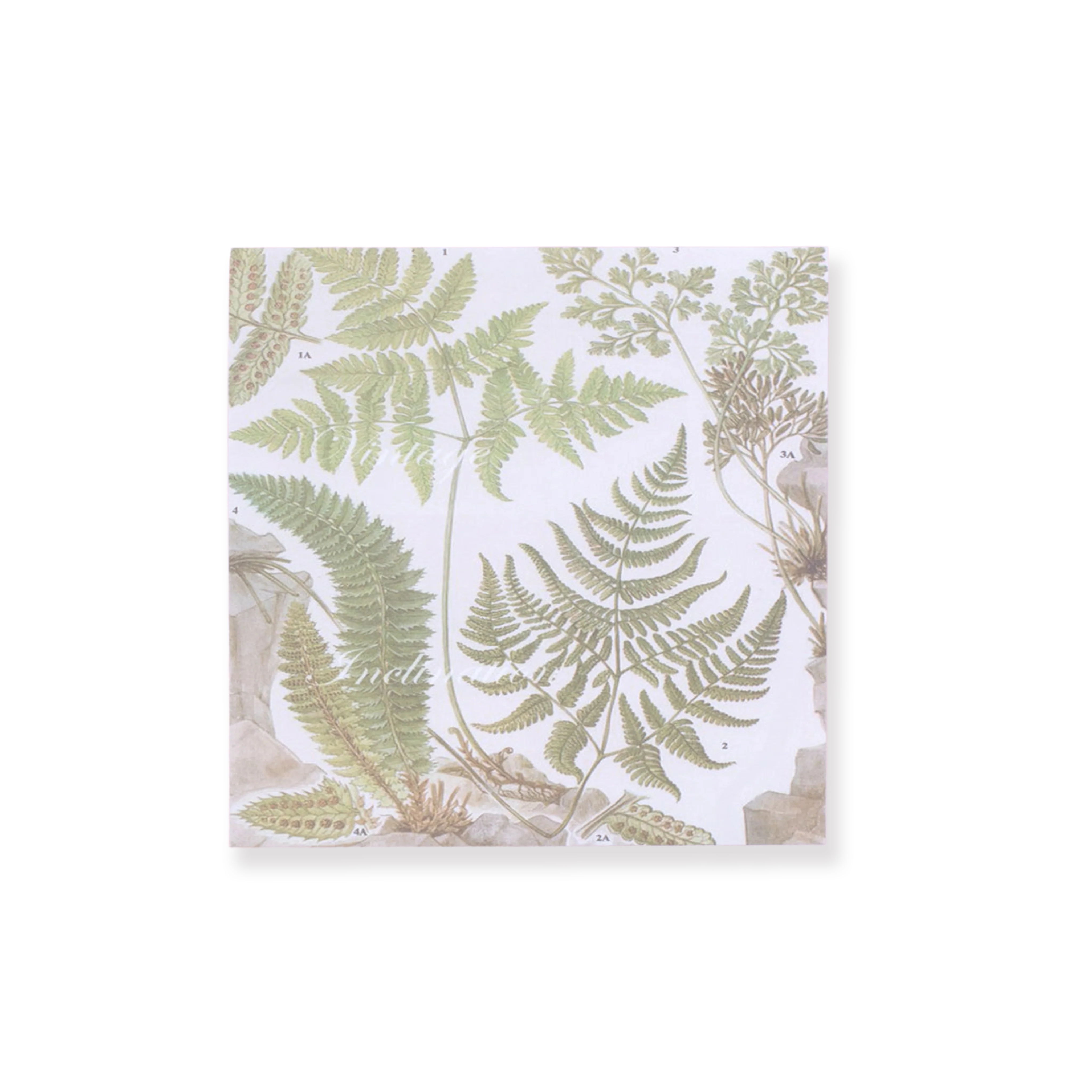 Bronzing Vintage Scrapbooking Paper - Plant - Image 10