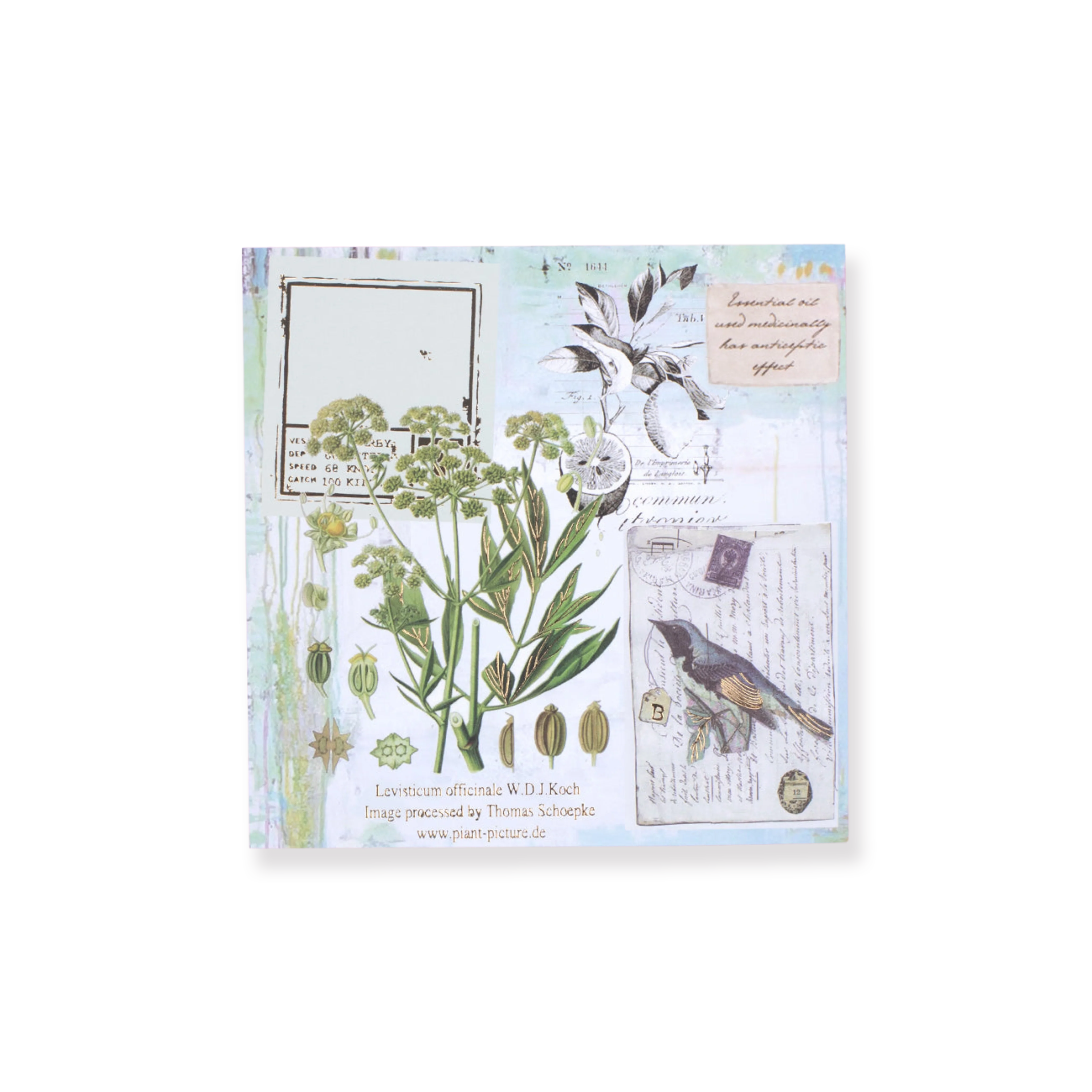 Bronzing Vintage Scrapbooking Paper - Plant - Image 12