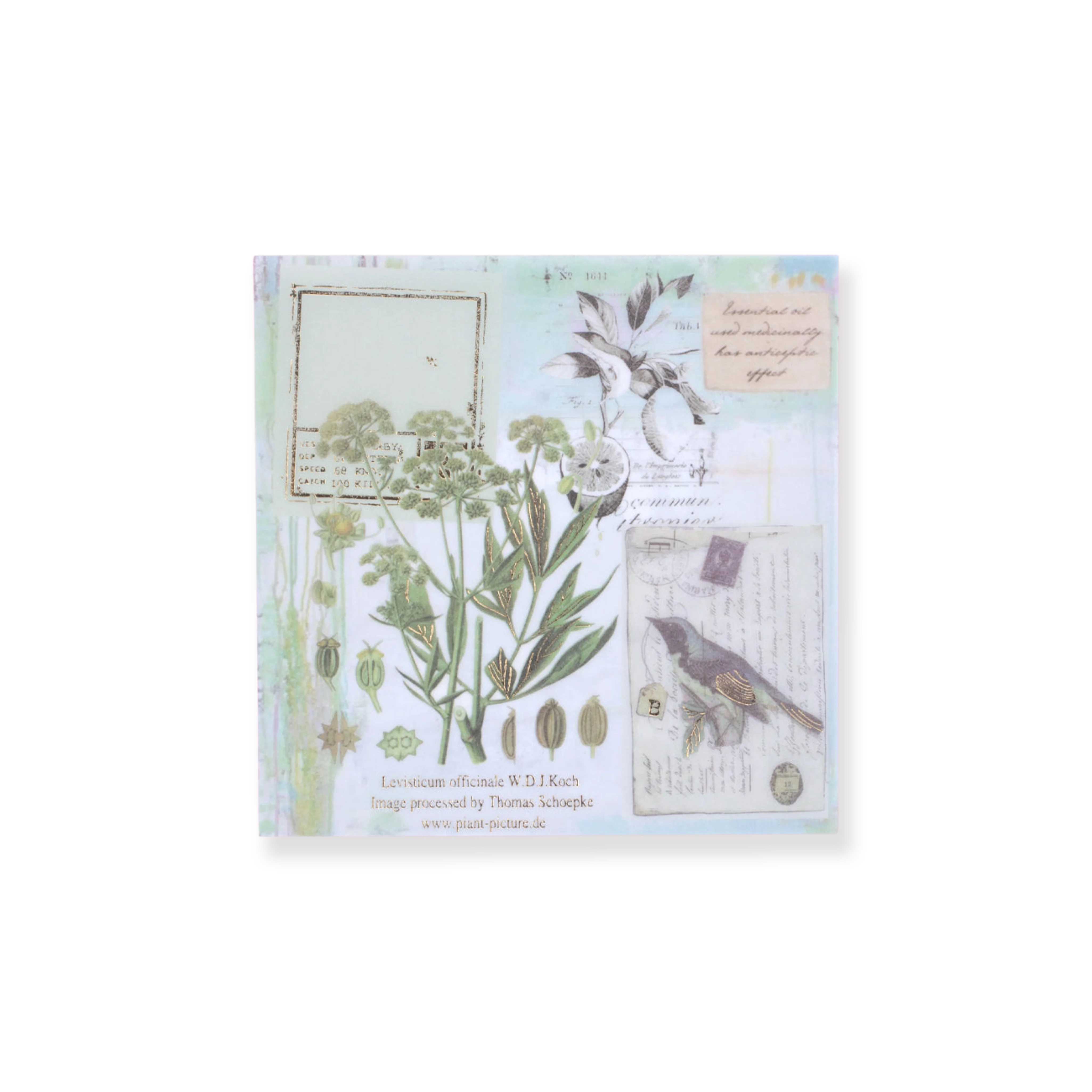 Bronzing Vintage Scrapbooking Paper - Plant - Image 17