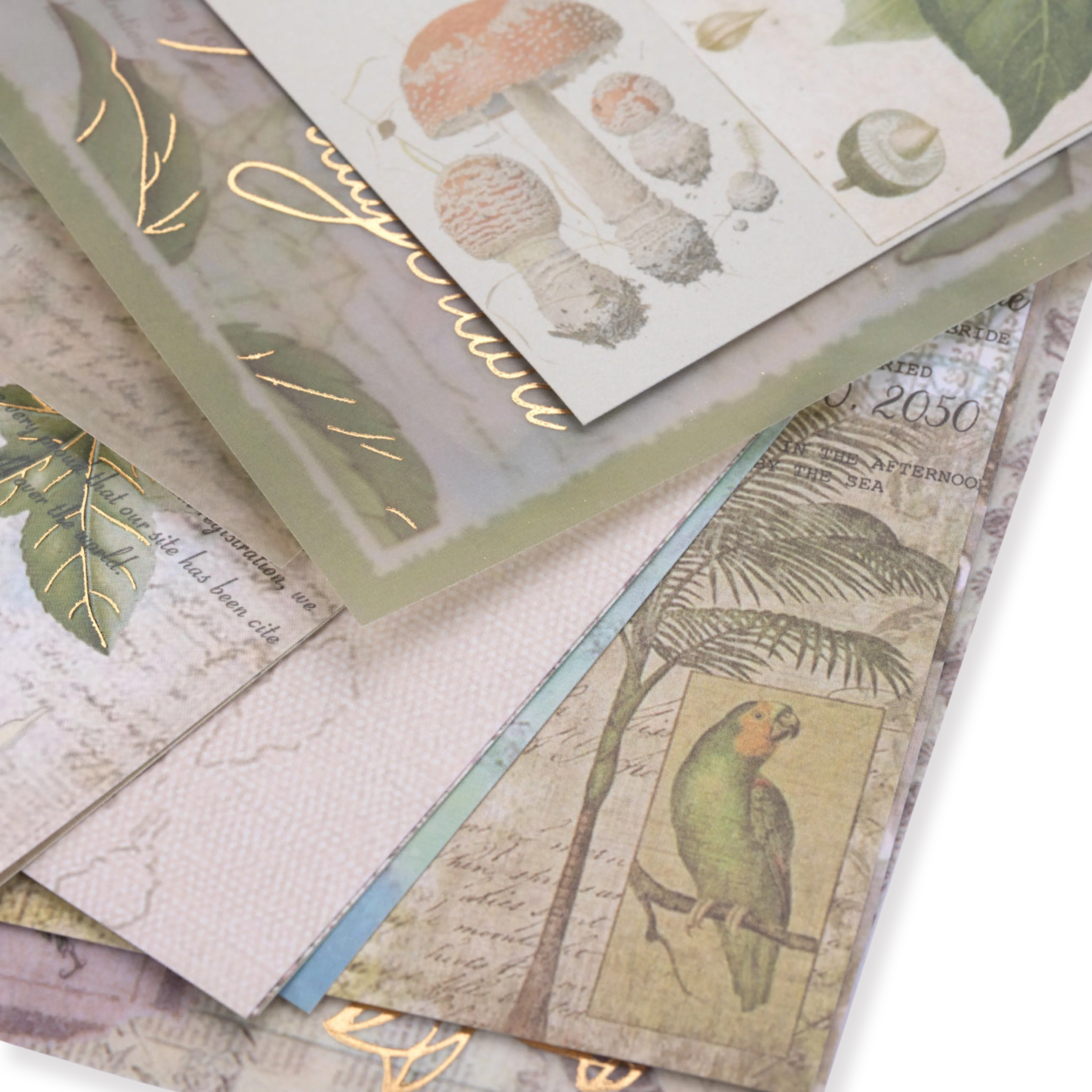 Bronzing Vintage Scrapbooking Paper - Plant - Image 2