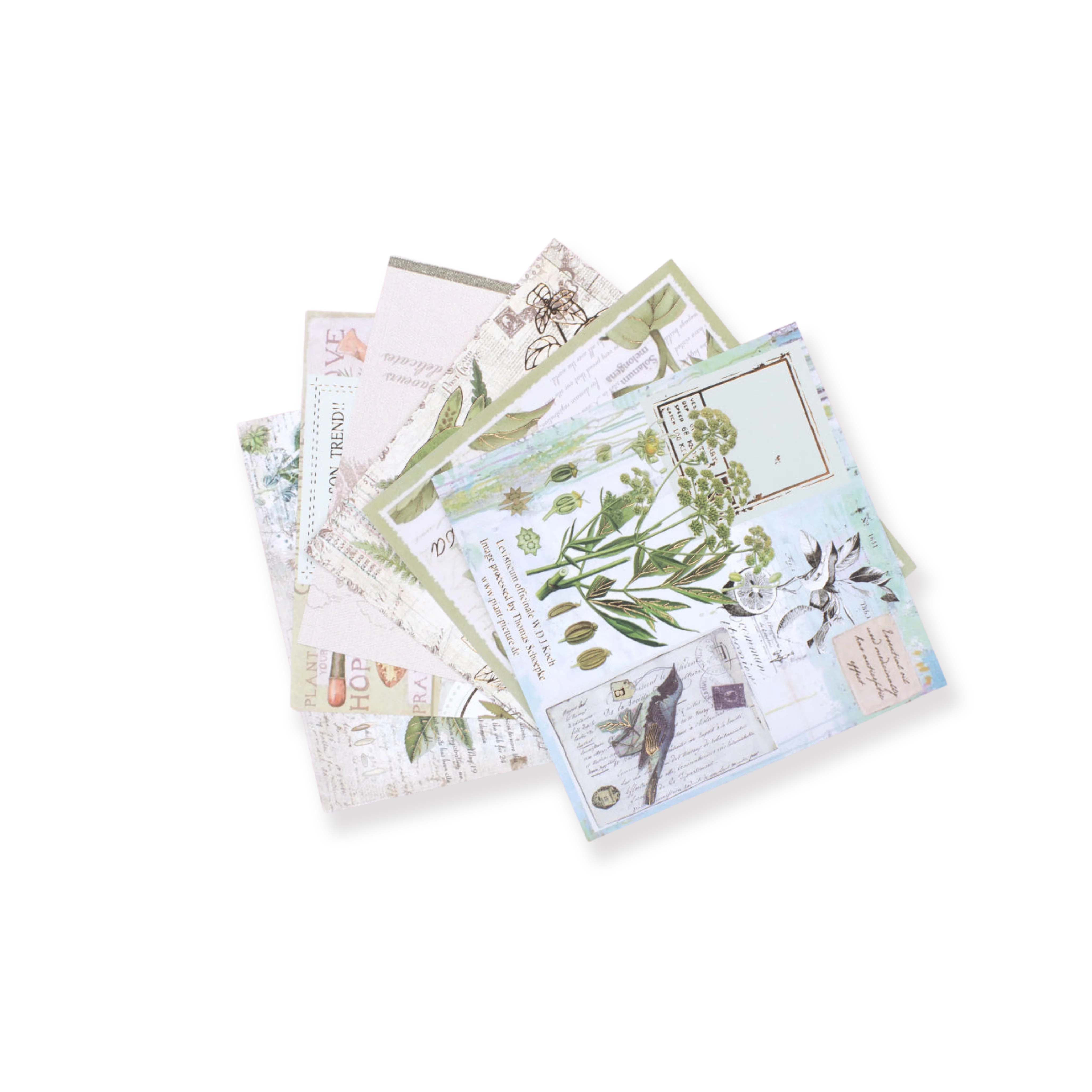 Bronzing Vintage Scrapbooking Paper - Plant - Image 20