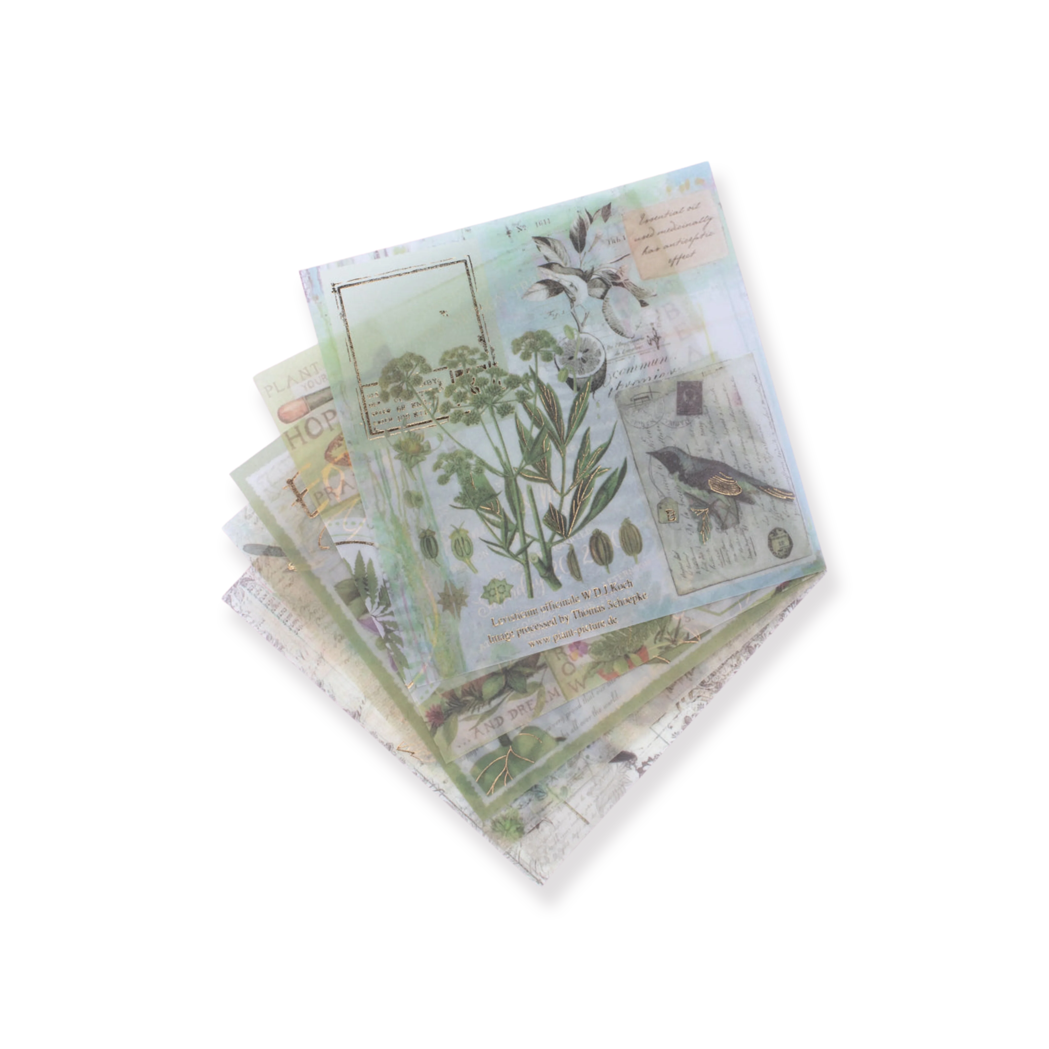 Bronzing Vintage Scrapbooking Paper - Plant - Image 4