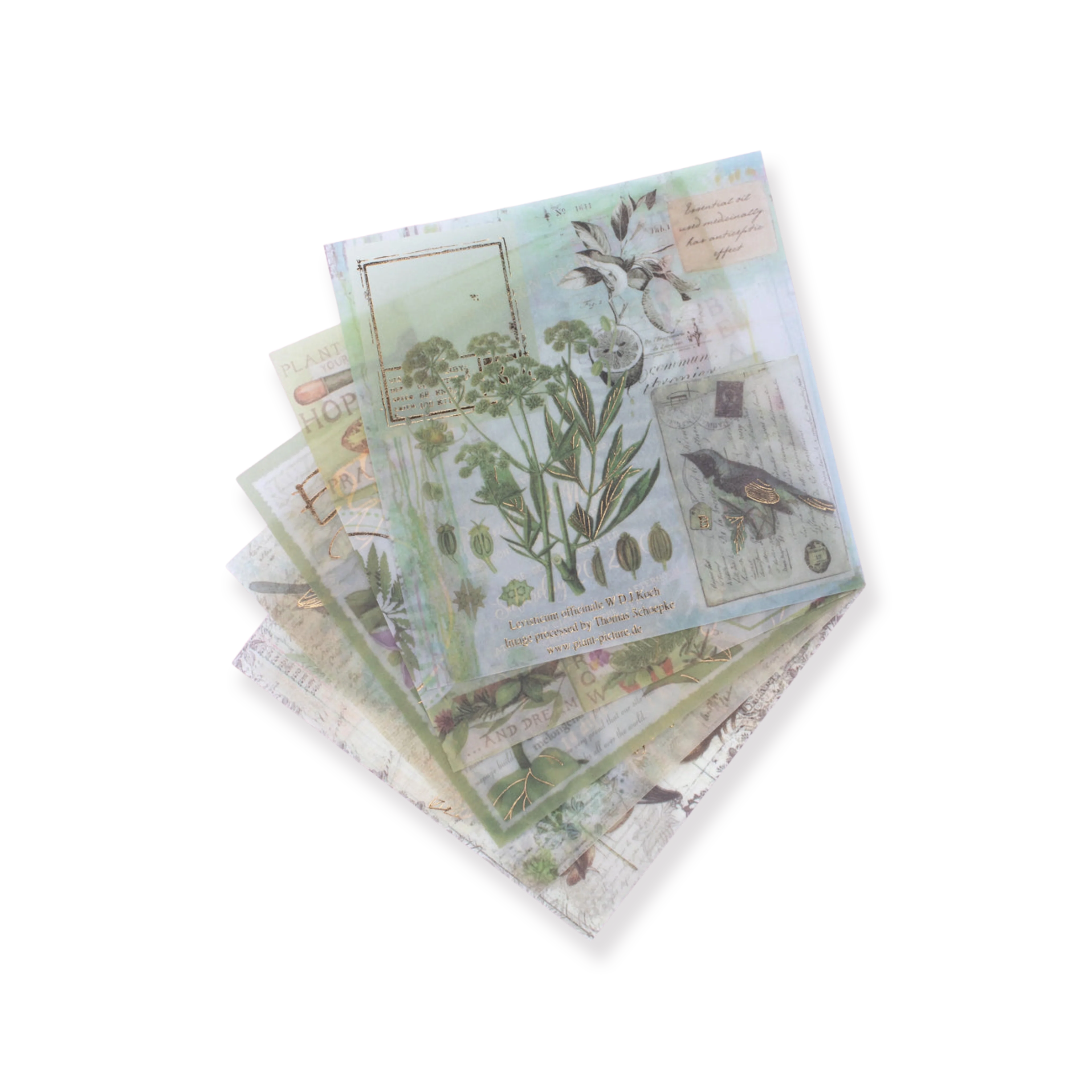 Bronzing Vintage Scrapbooking Paper - Plant - Image 5