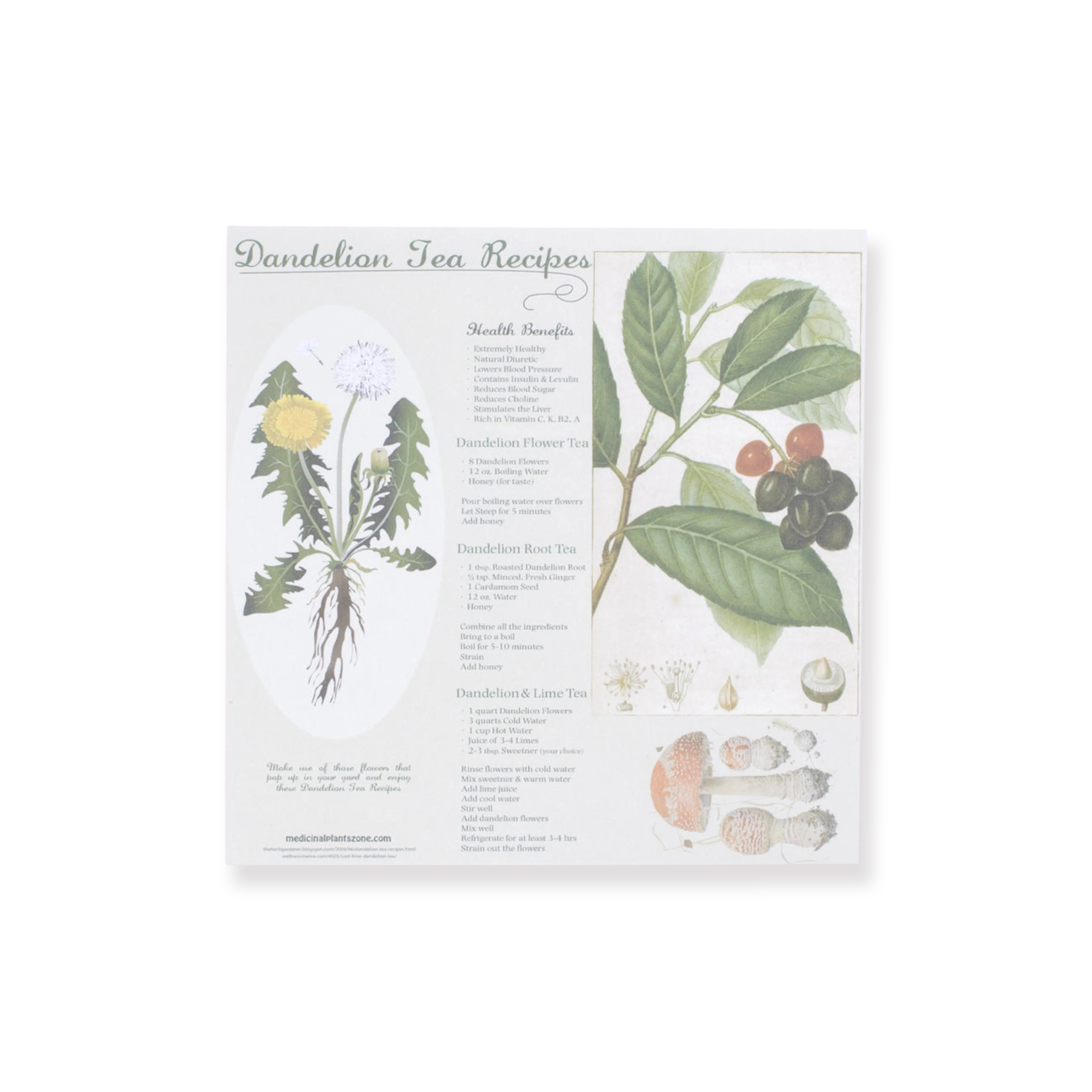 Bronzing Vintage Scrapbooking Paper - Plant - Image 7