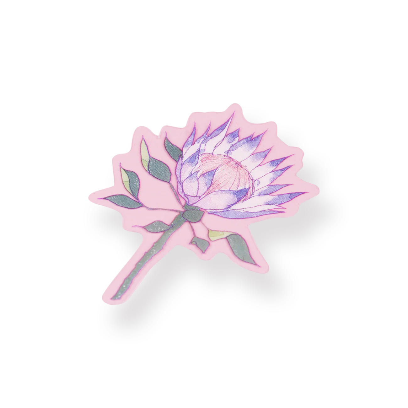 Floral Deco Stickers - Epiphyllum - Image 6
