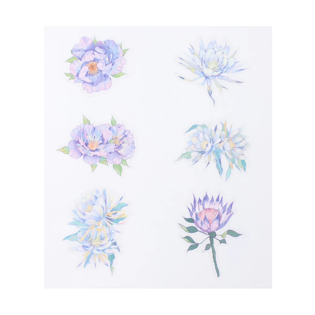 Floral Deco Stickers - Epiphyllum - Image 8