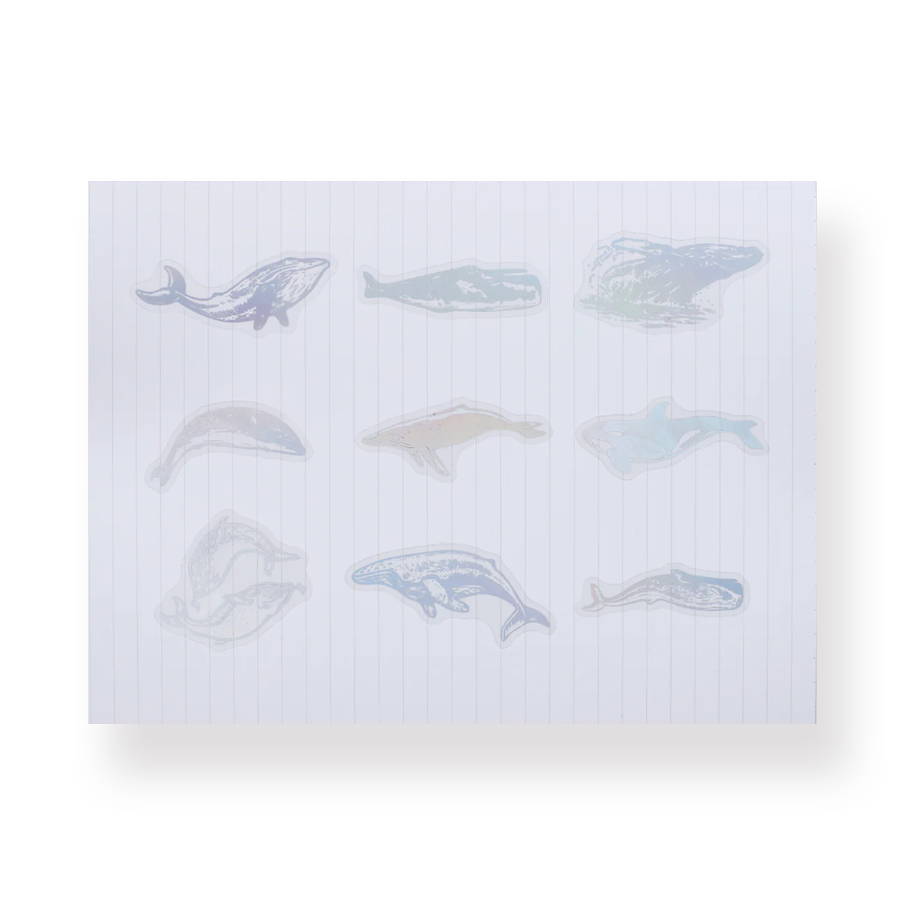 Holographic Sticker Pack - Whale - Image 2