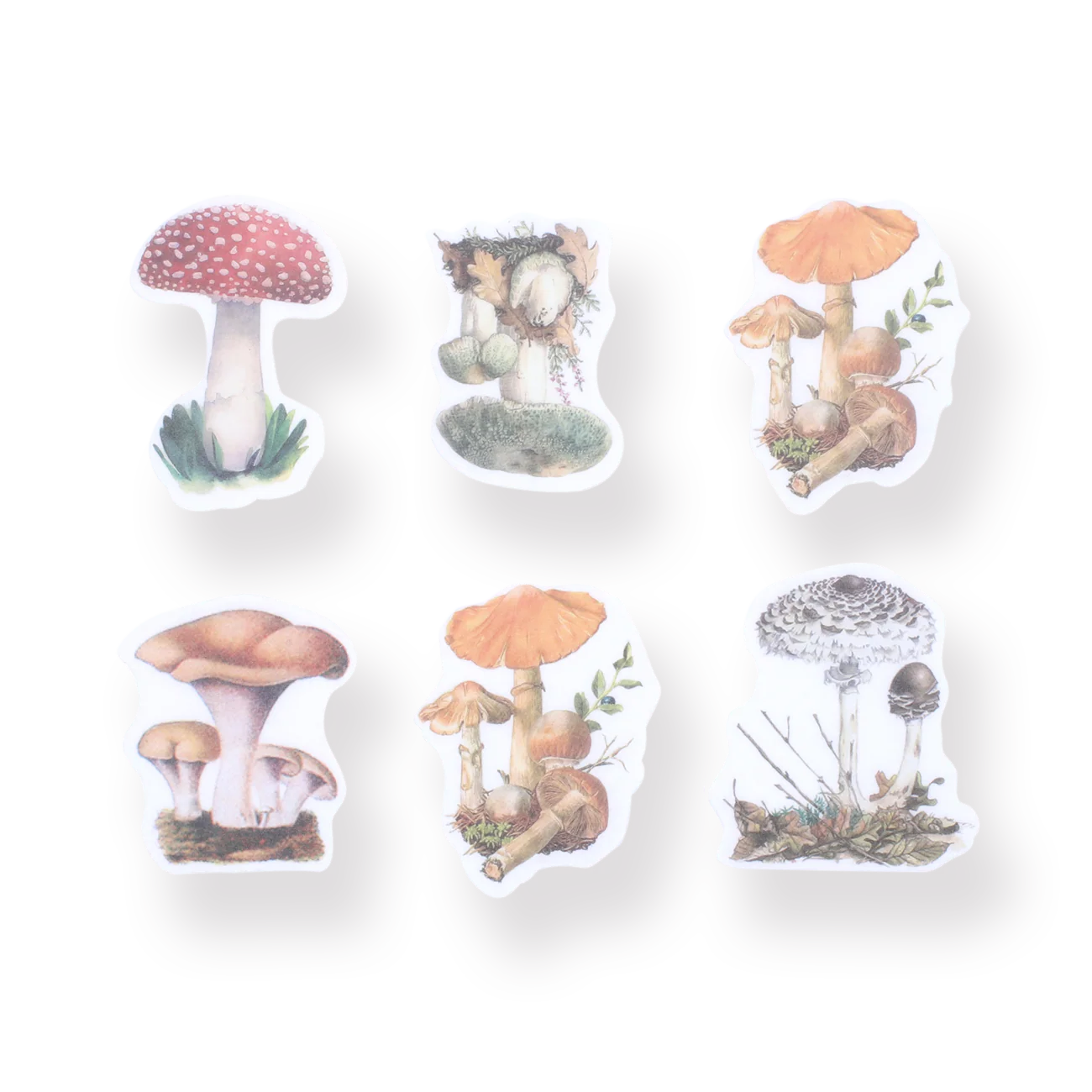 Mushroom Collection Sticker Pack
