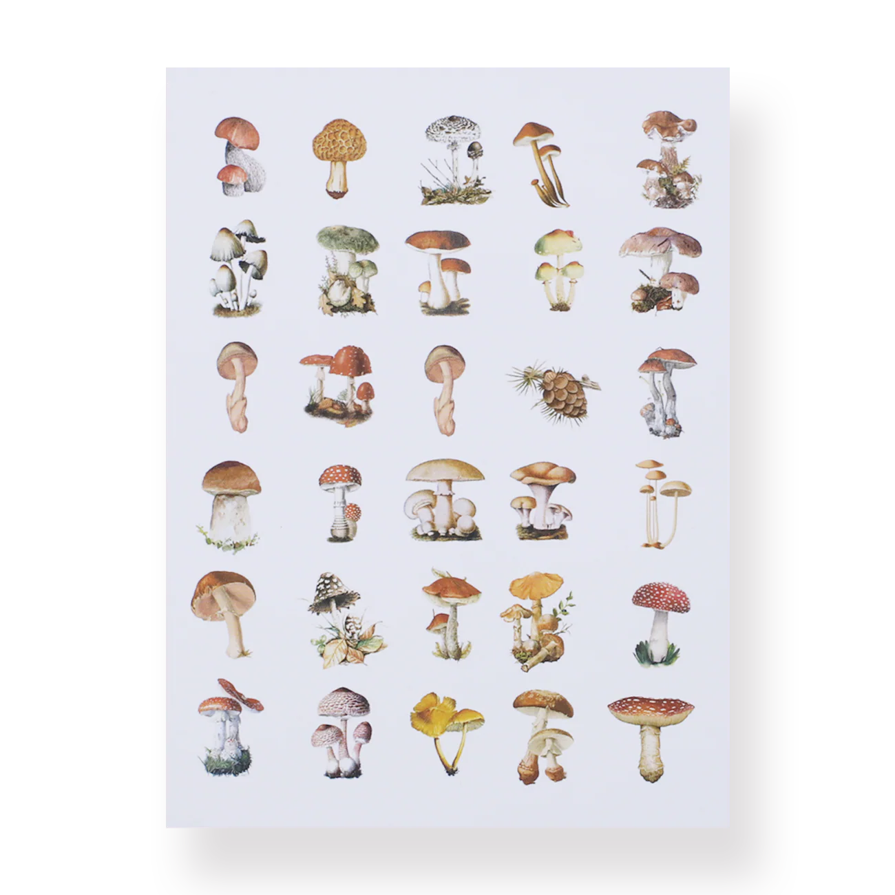 Mushroom Collection Sticker Pack - Image 2